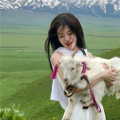 格里芬历险记